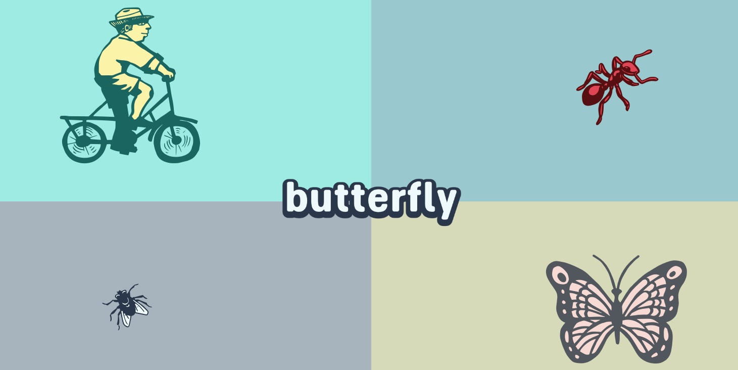 butterfly